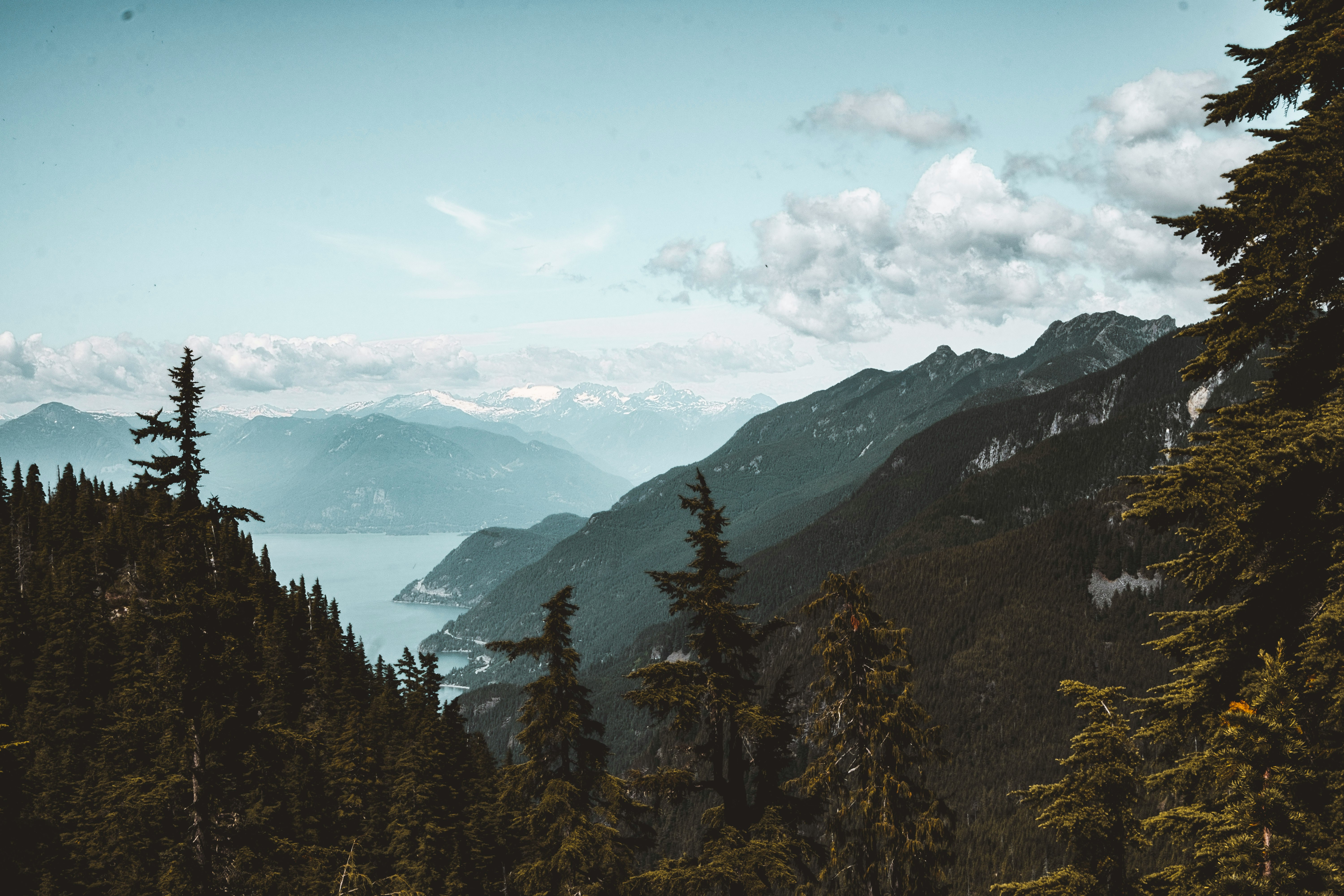 Aerial view of British Columbia forest